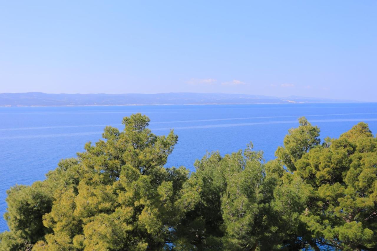 Apartments by the sea Brela, Makarska - 2718 Bagian luar foto